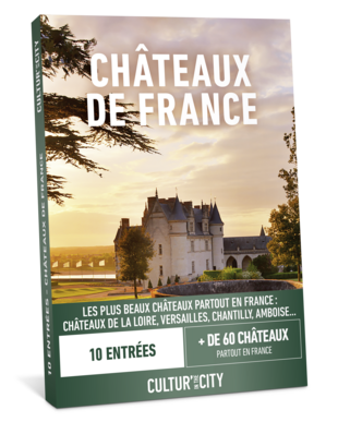 10 entrées Châteaux de France (Cultur'in The City)