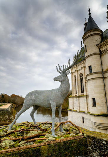 Noel_Chateau_Chenonceau_Credit_ADT_Touraine_JC-Coutand-2031-104.jpg