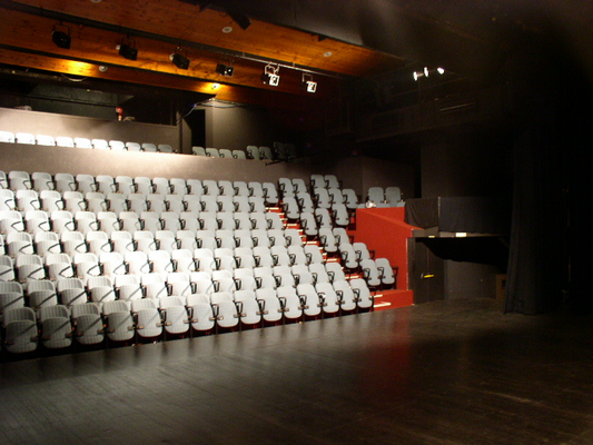 Espaces Pluriels / Théâtre Saragosse  (Pau)