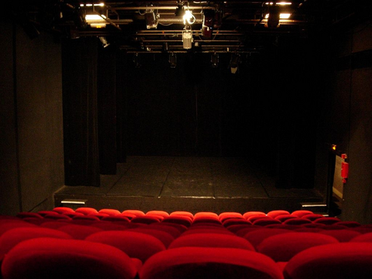 Théâtre En Bois   Nest Théâtre (Thionville)